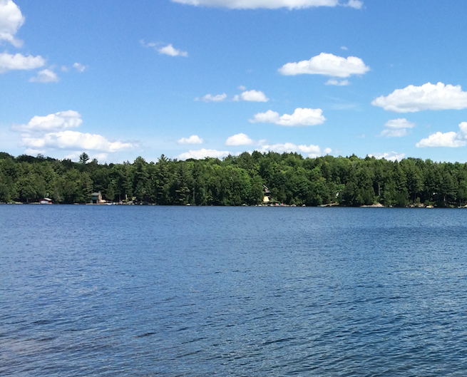 Horn Lake, Burk's Falls