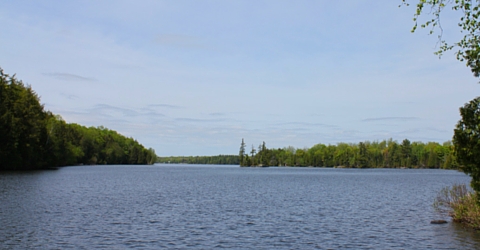 Lorimer Lake, Parry sound